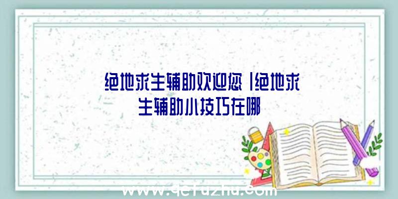 「绝地求生辅助欢迎您」|绝地求生辅助小技巧在哪